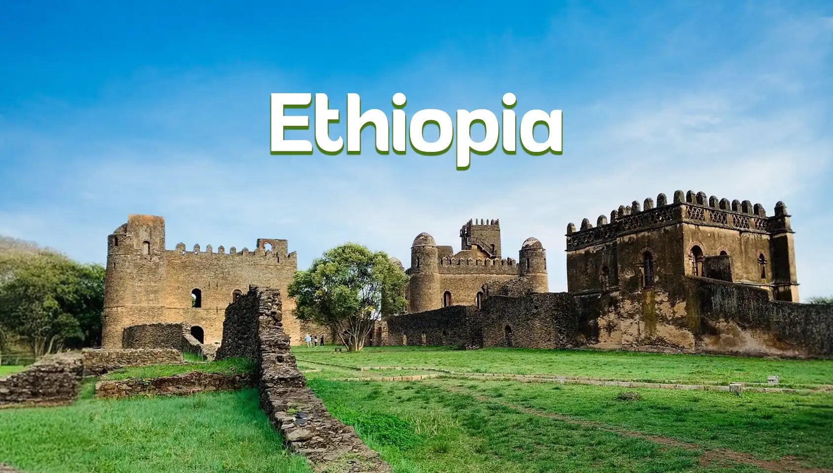 Treasures of Ethiopia: Nature & Culture Immersion