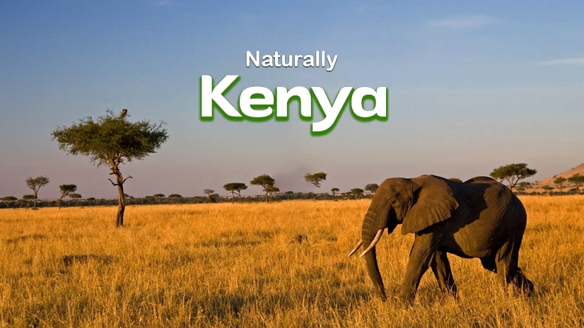 Kenya