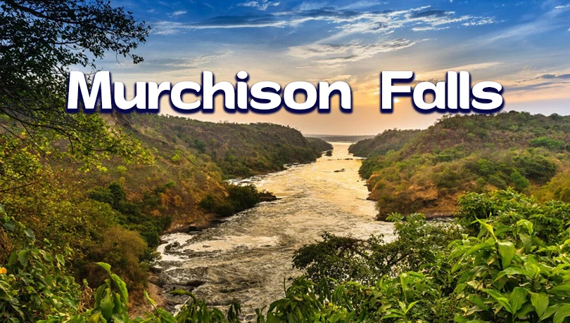 Murchison Falls Safari Adventure