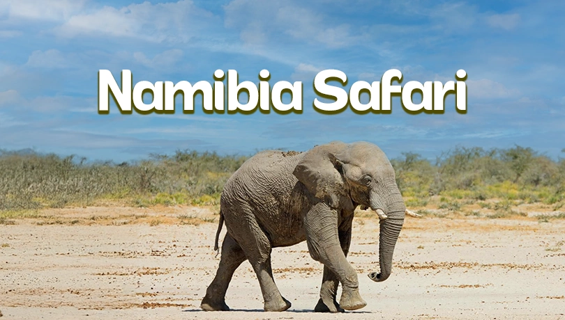 NAMIBIA SAFARI Walvis Bay to Pretoria by Rovos Rail