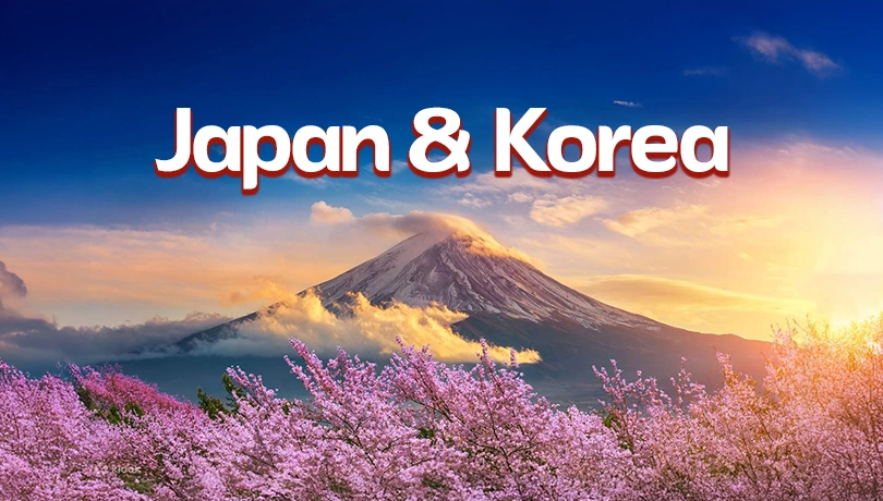 Cherry Blossom - Japan & Korea Trip
