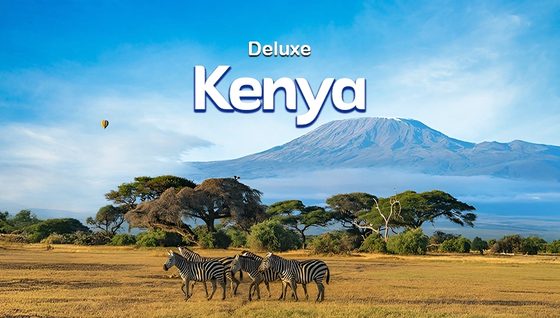 KENYA Nairobi-Amboseli-Elementaita-Maasai Mara - (Deluxe)