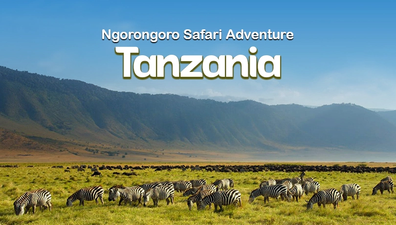 TANZANIA Ngorongoro Safari Adventure