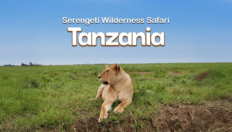Tanzania Serengeti Wilderness Safari