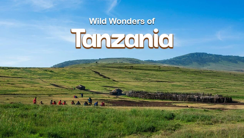 Wild Wonders of Tanzania