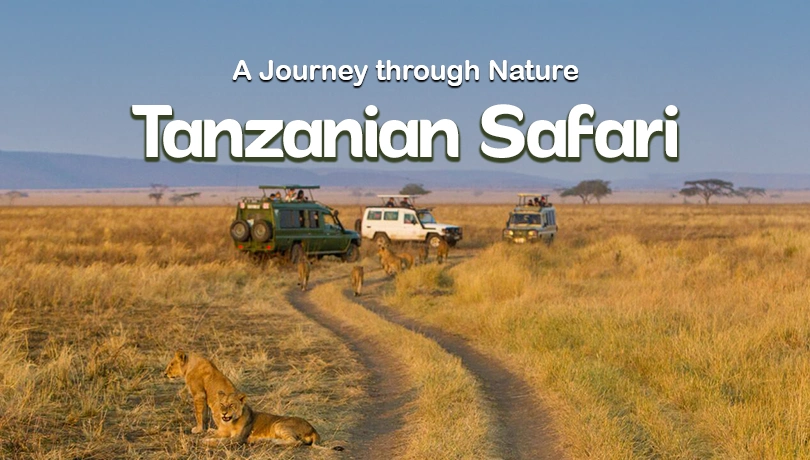 The Great Tanzanian Safari A Journey through Nature