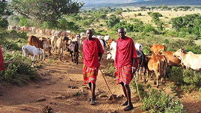 KENYA (Where the Wild Meets the Waves)